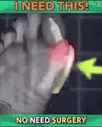 Open Toe Flat Sandals